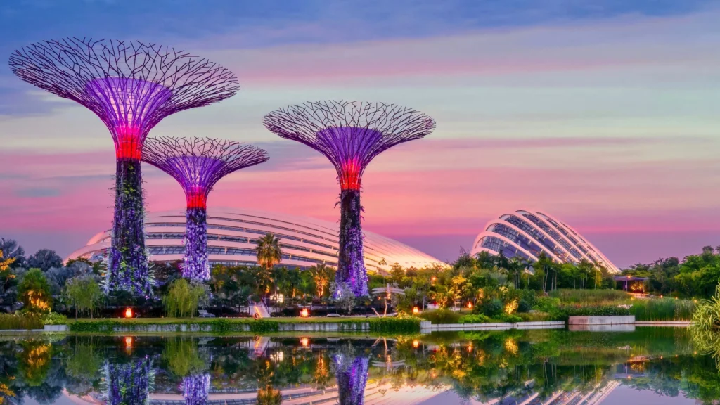 "Spectacular night view of the Super tree Grove at Gardens by the Bay, Singapore"