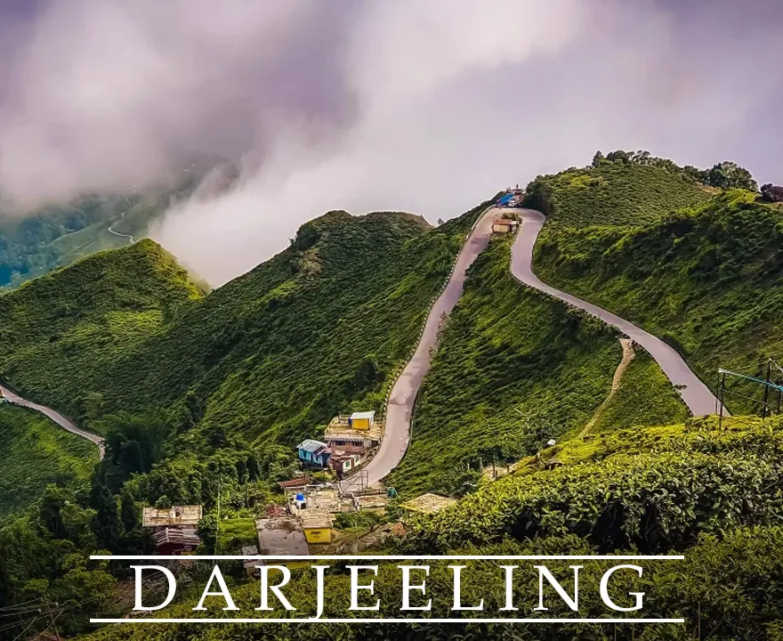 darjeeling-2.webp