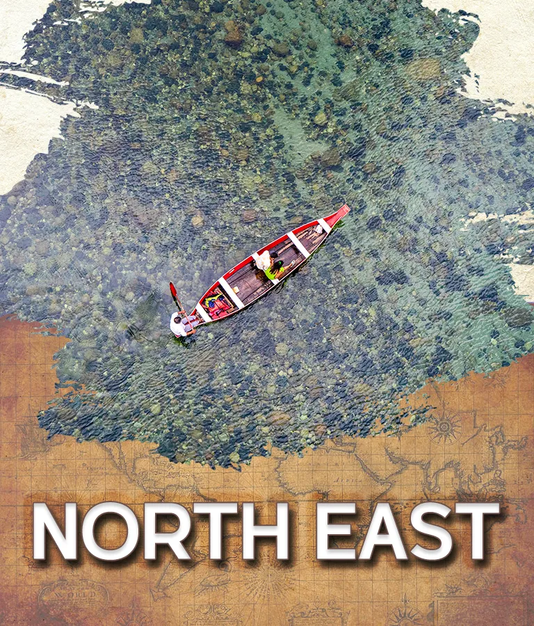 North east DM